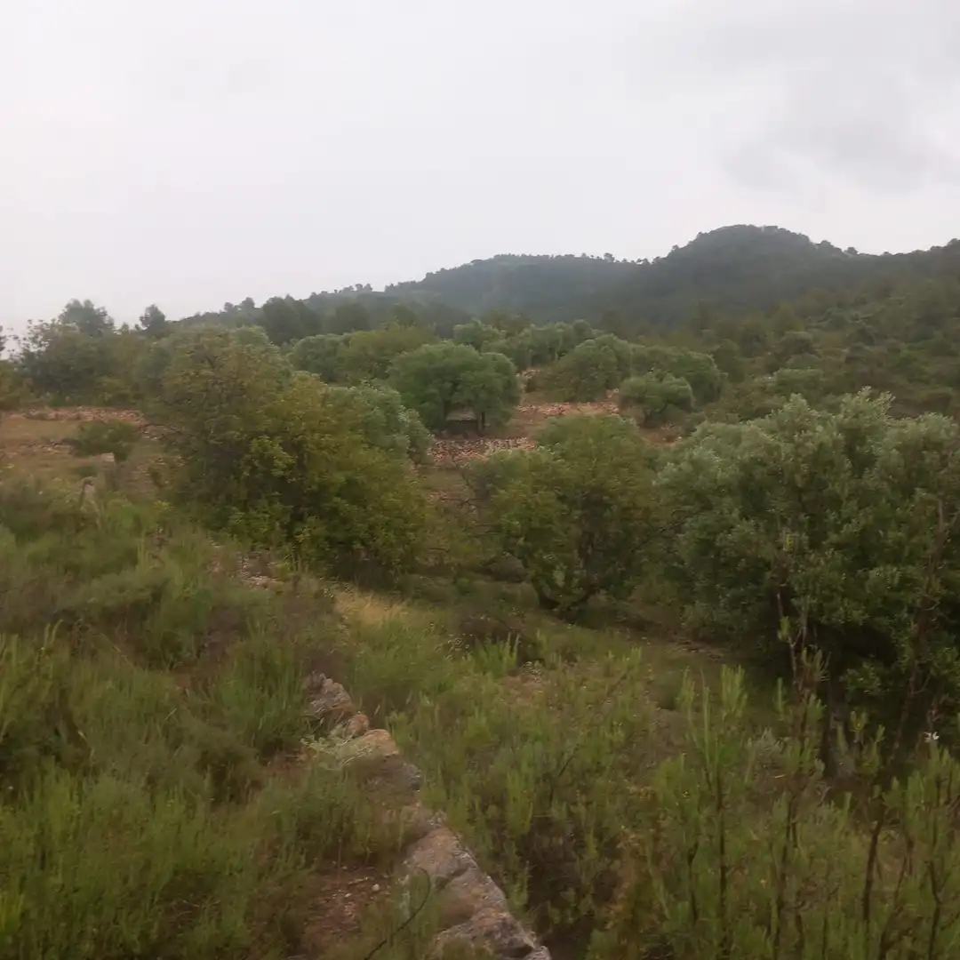 Country homes for sale in Tivenys