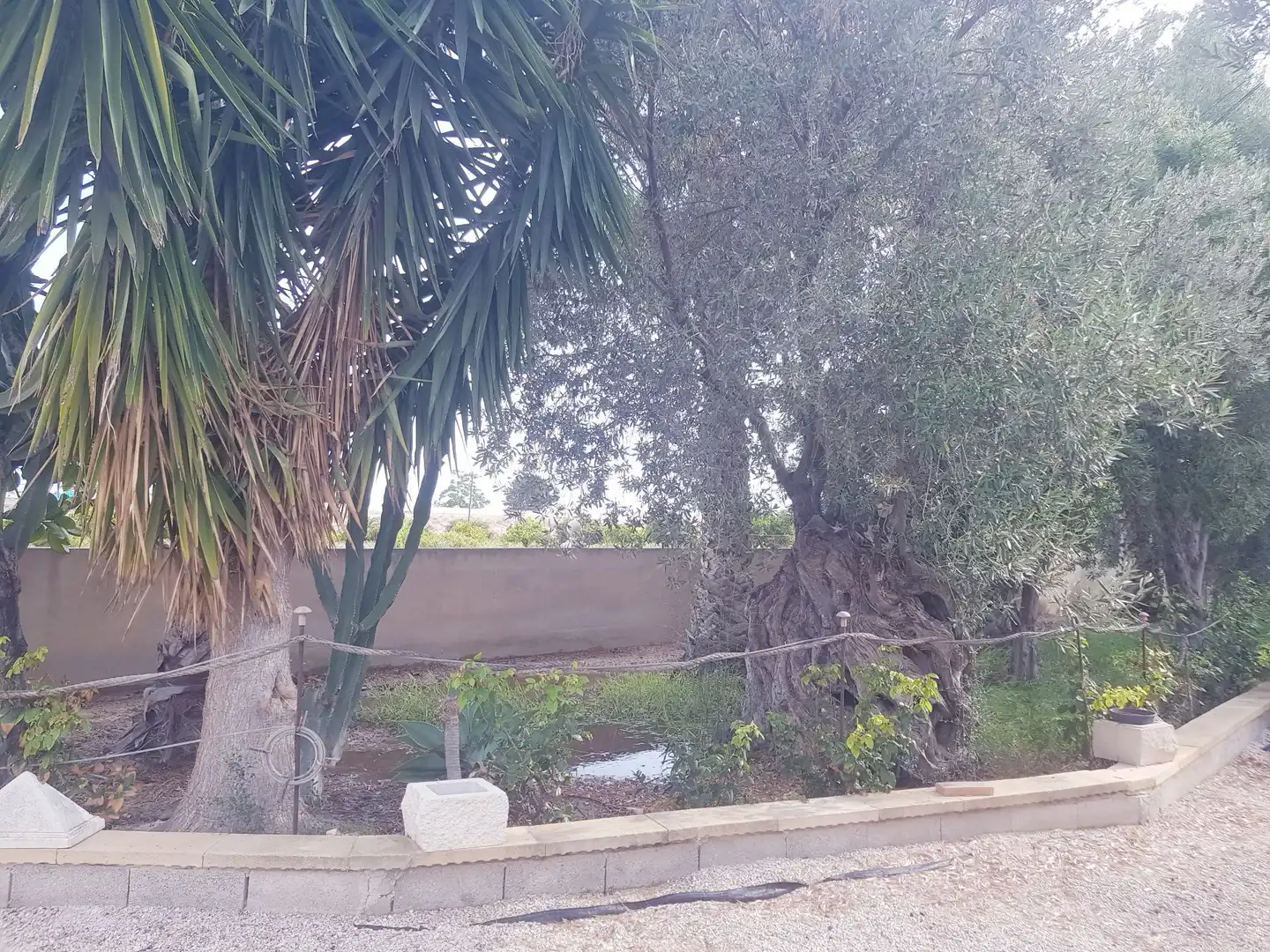 Terrenys i solars en venda a El Secanet - Hacienda del Sol, imagen 3