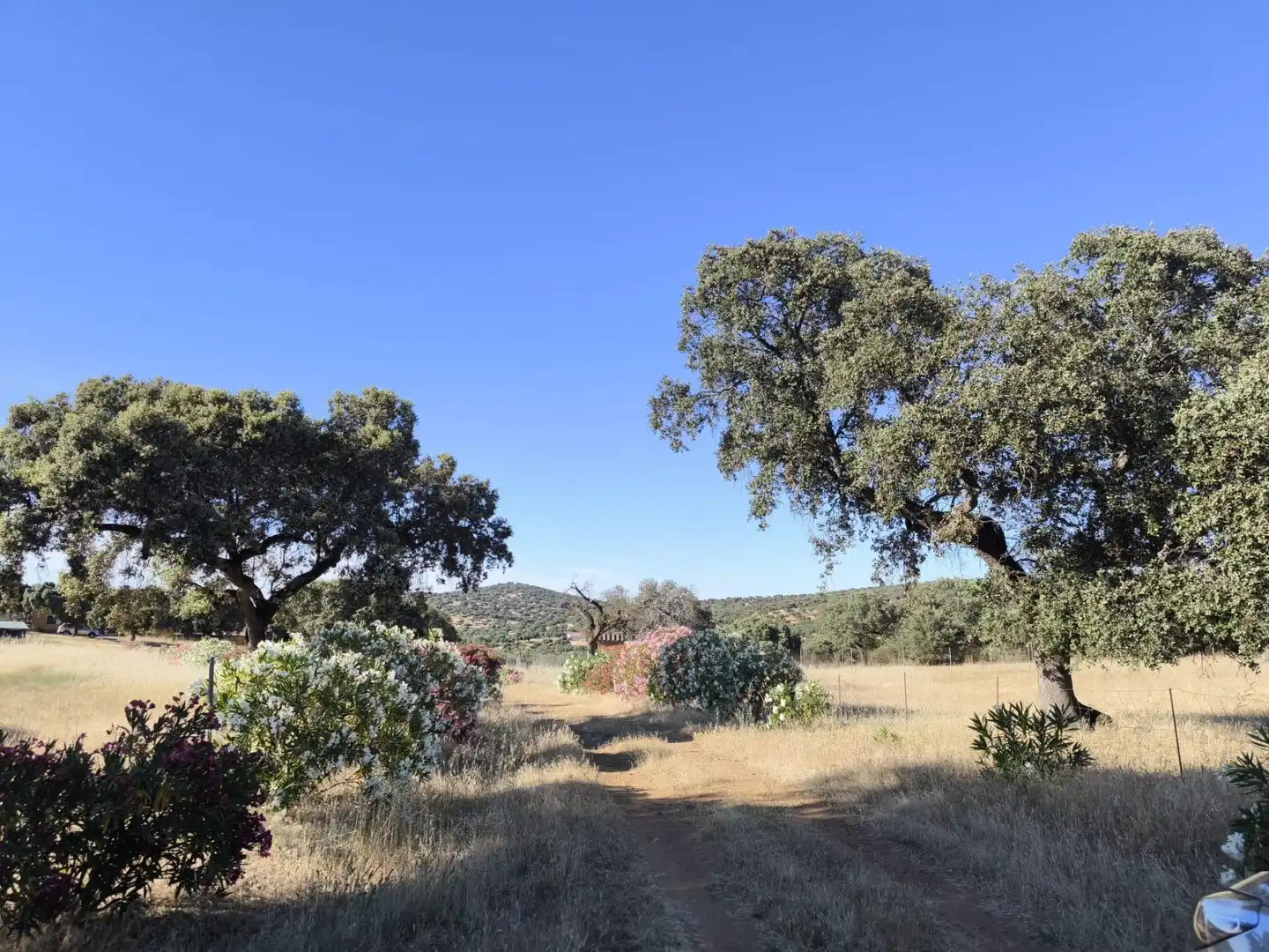 Rural land for sale in Fuente Obejuna, imagen 62