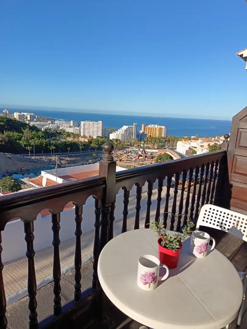 Vista exterior de Estudio en venta en Adeje con Aire acondicionado, Terraza y Amueblado