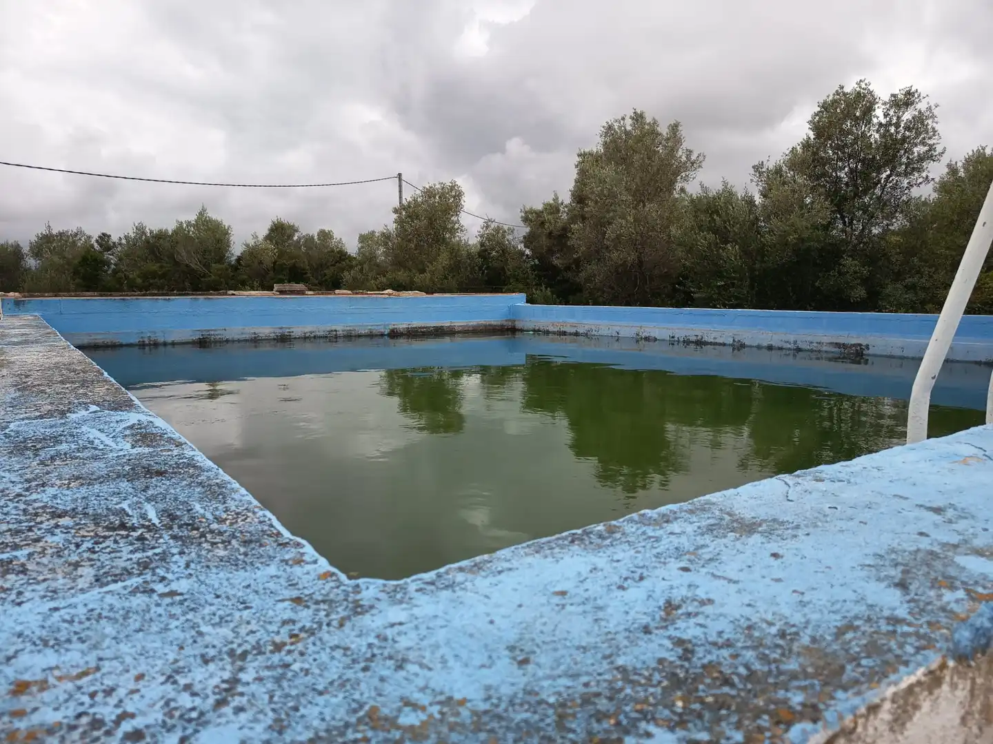 Swimming pool of Industrial land for sale in Moncofa