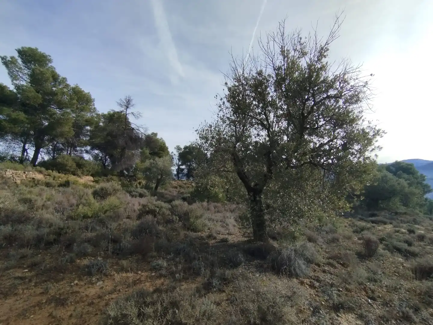 Casa o chalet en venta en Valderrobres con Amueblado