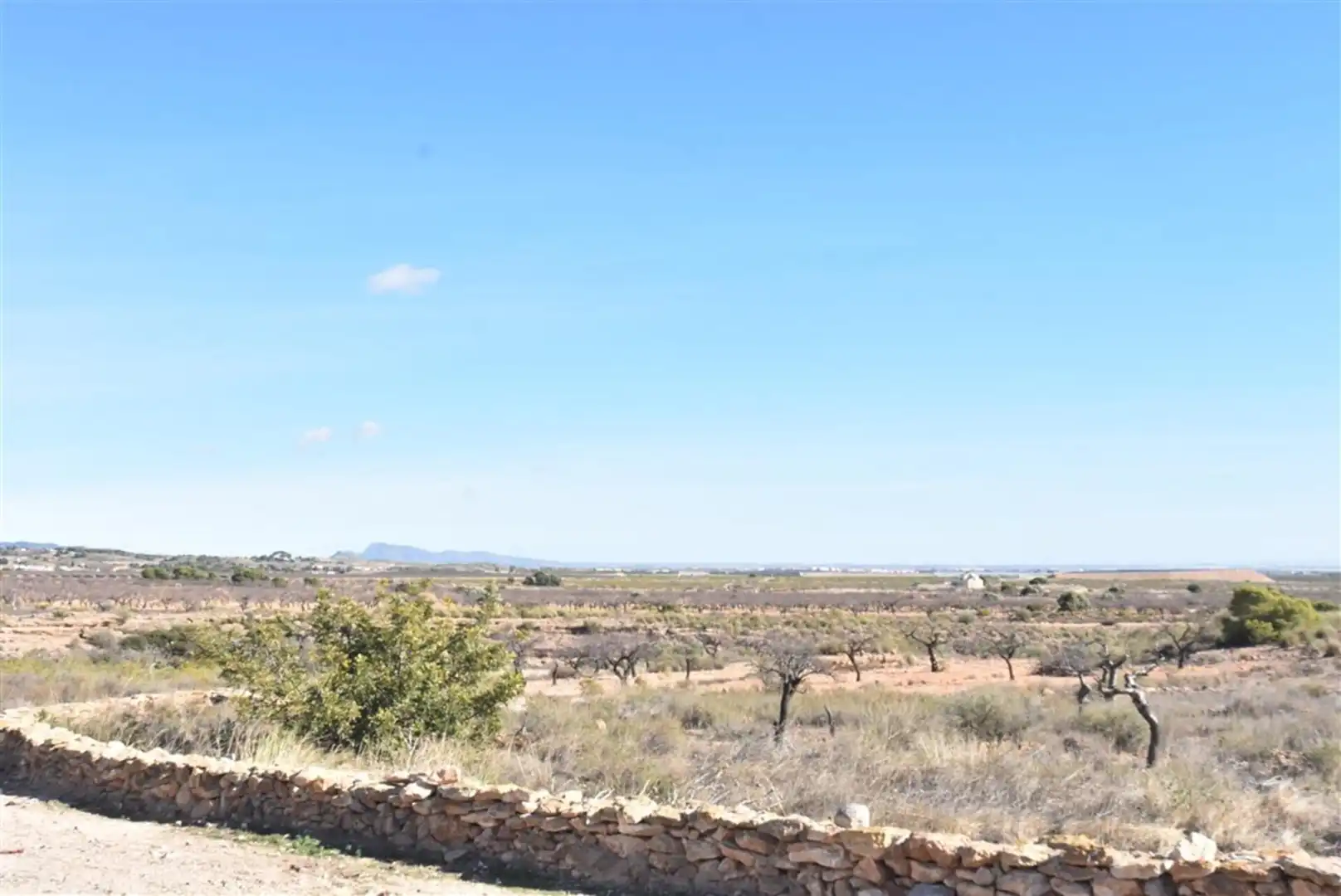 Casa o xalet en venda en Fuente Álamo de Murcia amb Jardí privat i Terrassa