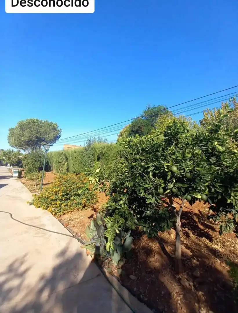 Casa o xalet en venda en Córdoba amb Traster