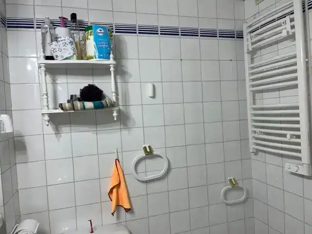 Bany de Apartament de lloguer en Aisa amb Parquet, Traster i Moblat
