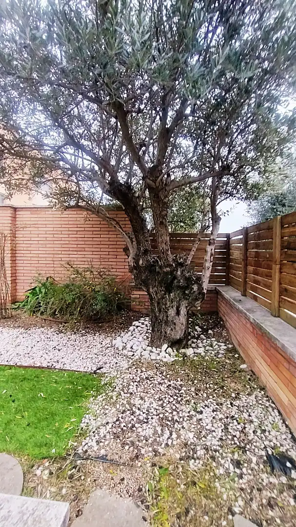 Jardí de Casa adosada en venda en Castellar del Vallès amb Aire condicionat, Calefacció i Jardí privat