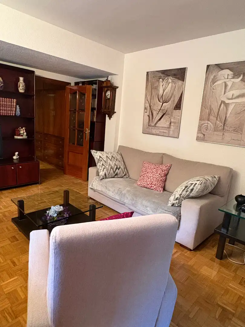 Sala d'estar de Pis de lloguer en Madrid amb Aire condicionat, Calefacció i Parquet
