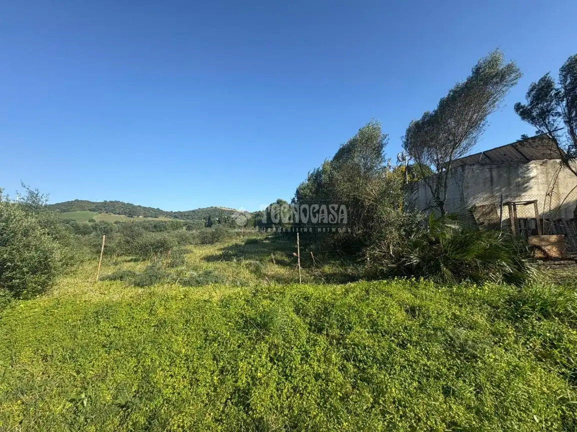 Terreno rustico in vendita a Barbate ciudad, imagen 2