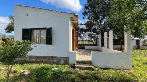 Foto 3 de Finca rústica de alquiler en Binissalem, Illes Balears