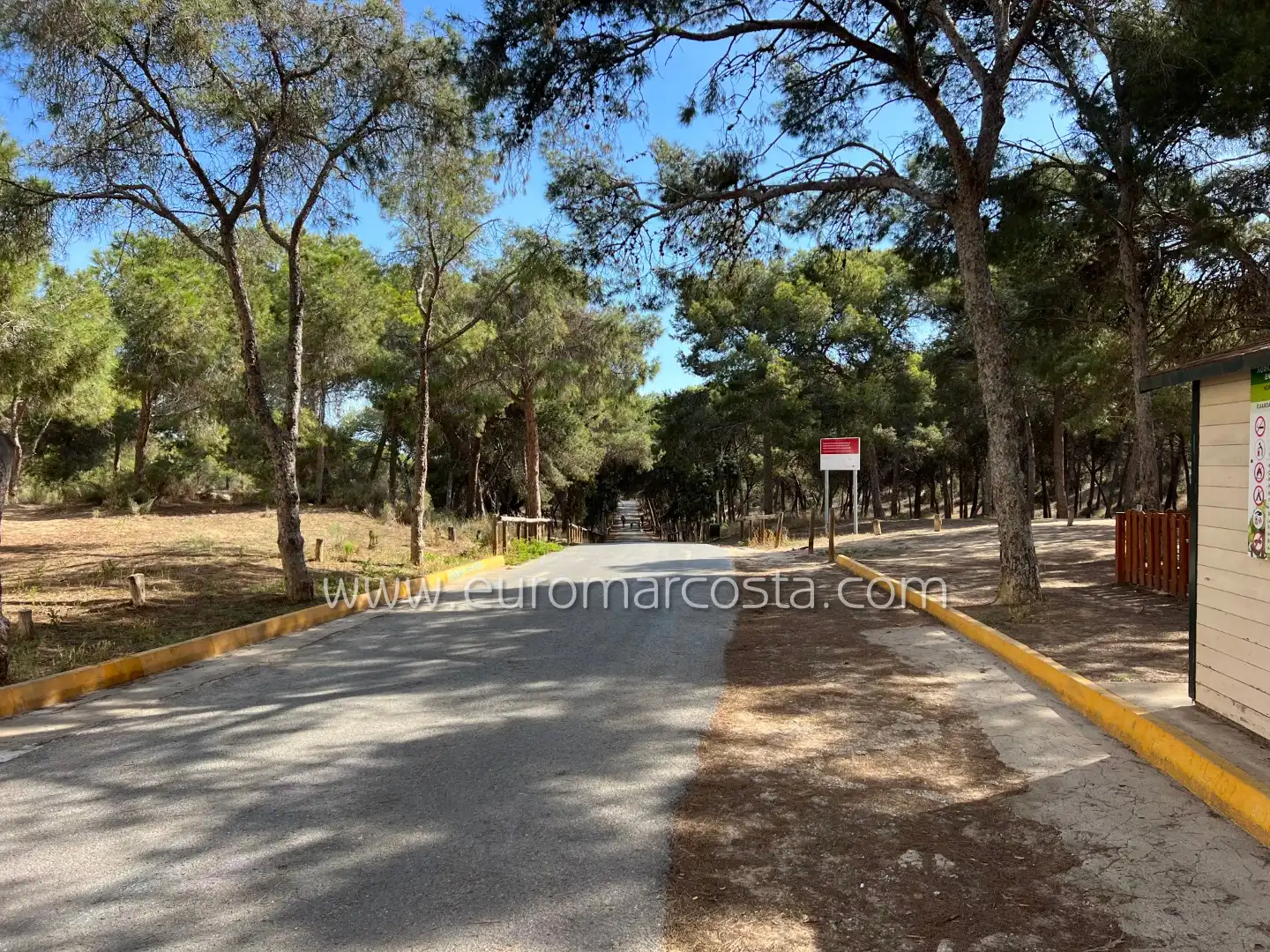 Piso con ascensor en venta en Carrer Arenes, imagen 29