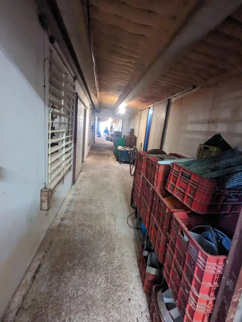 Gewerbefläche zum Verkauf in Zúñiga, imagen 18