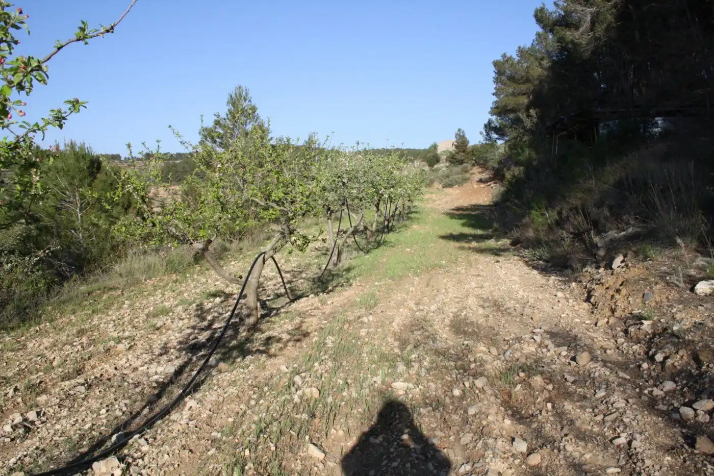 Country house zum Verkauf in Móra d'Ebre