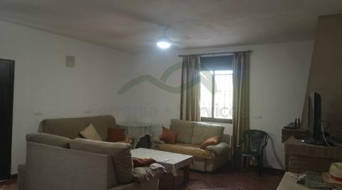 Foto 3 de Finca rústica de lloguer a Partidas Sur, Málaga