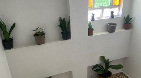 Foto 5 de Piso en venta en Tulipanes, 15, Ejido Centro, El Ejido