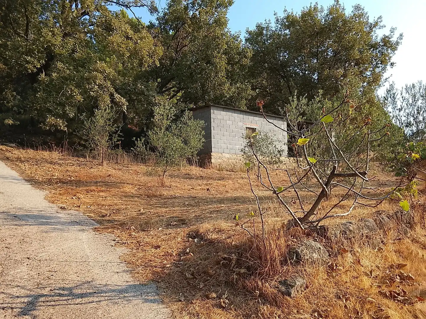 Terreny en venda en Madrigal de la Vera