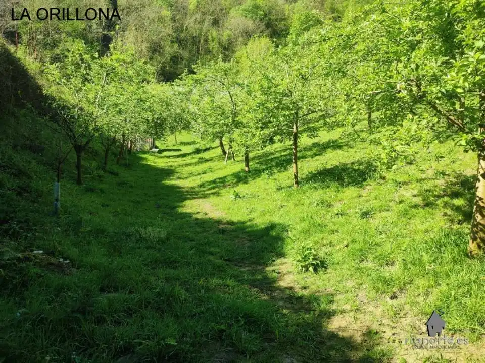Terreno rustico in vendita a San Martín del Rey Aurelio, imagen 2