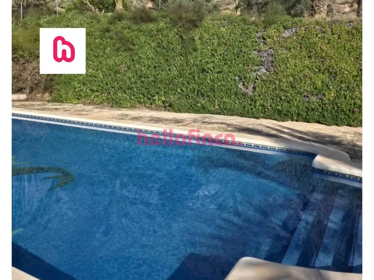 Piscina de Finca rústica en venda en Orihuela amb Aire condicionat, Calefacció i Jardí privat