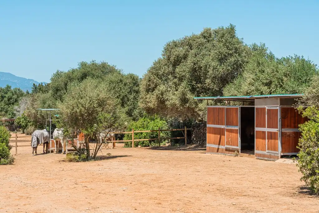 Landhaus mit Pool zum Verkauf in Son Ramonell - Es Figueral, imagen 26