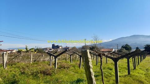 Photo 5 of Residential for sale in Tui, Pontevedra