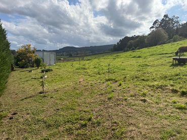 Terreno residencial en venta en Castropol