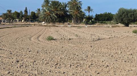 Photo 3 of Land for sale in N/a, -1, La Algoda - Matola - Llano de San José, Elche / Elx