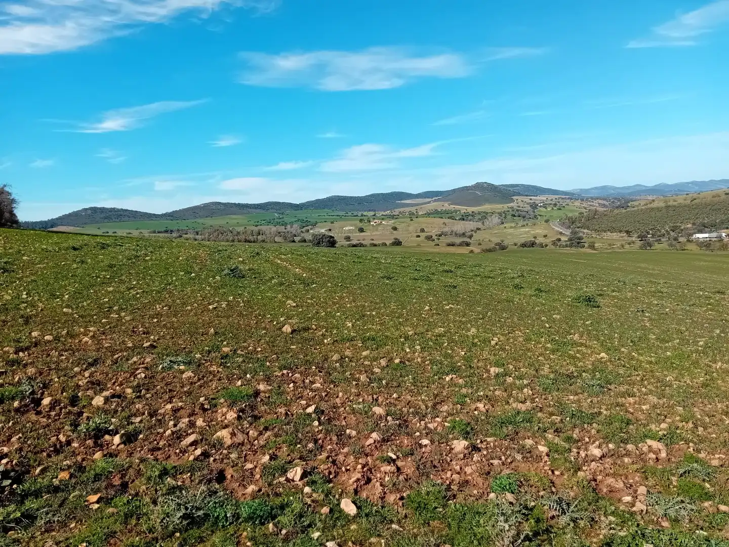 Residential for sale in Puebla de Don Rodrigo
