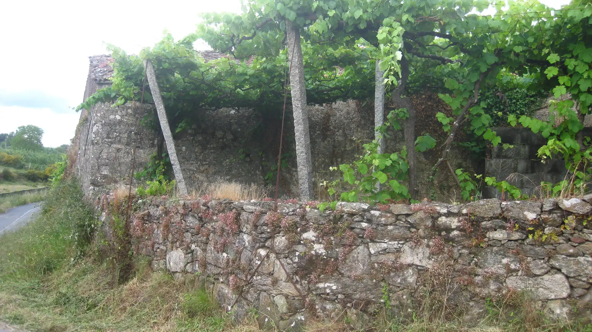 House with garden for sale in Silleda, imagen 8