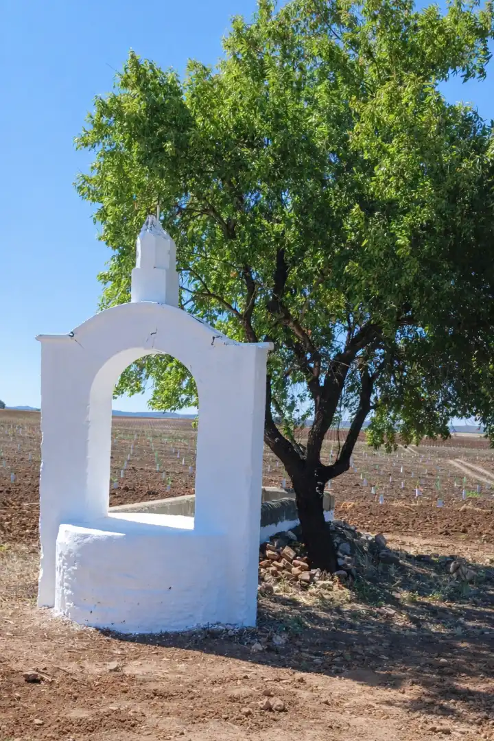Vista exterior de Finca rústica en venda en Badajoz amb Jardí privat, Terrassa i Piscina