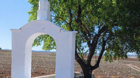 Foto 4 de Finca rústica en venta en Las Vaguadas, Badajoz Capital