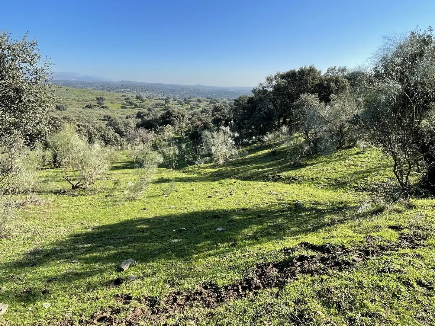 Terreni e lotti in vendita a Malpartida de Plasencia, imagen 15