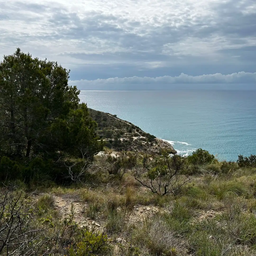 Fabrik Grundstücke zum Verkauf in Villajoyosa / La Vila Joiosa