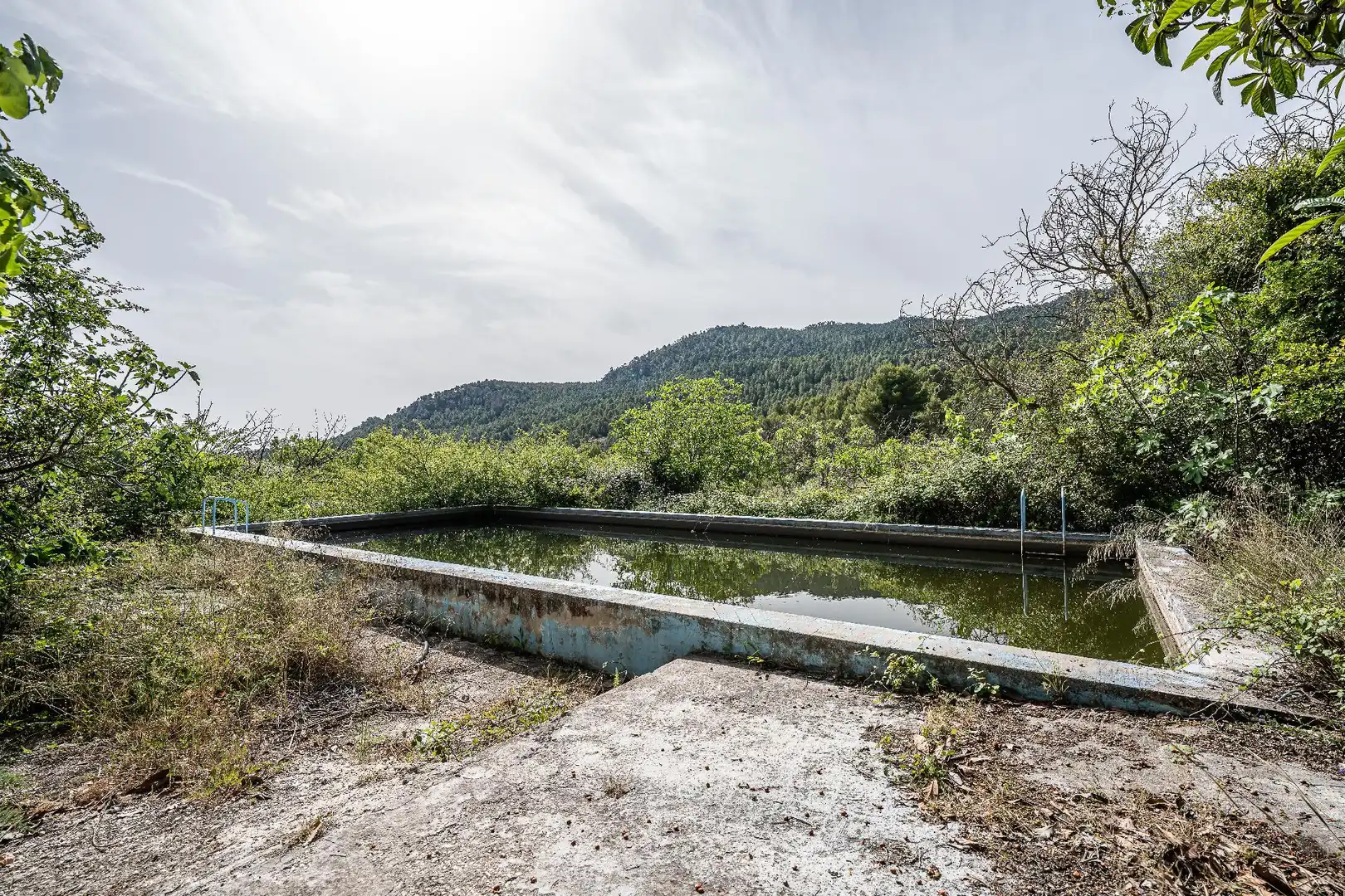 Piscina de Finca rústica en venta en Moratalla con Piscina