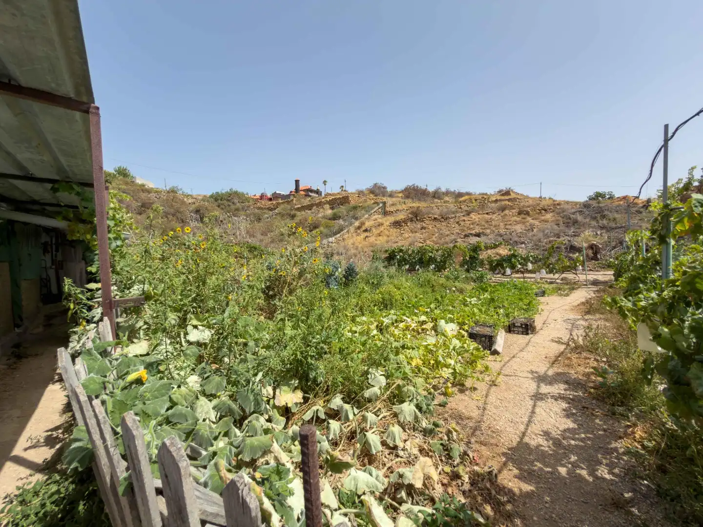 Jardí de Finca rústica en venda en Güímar