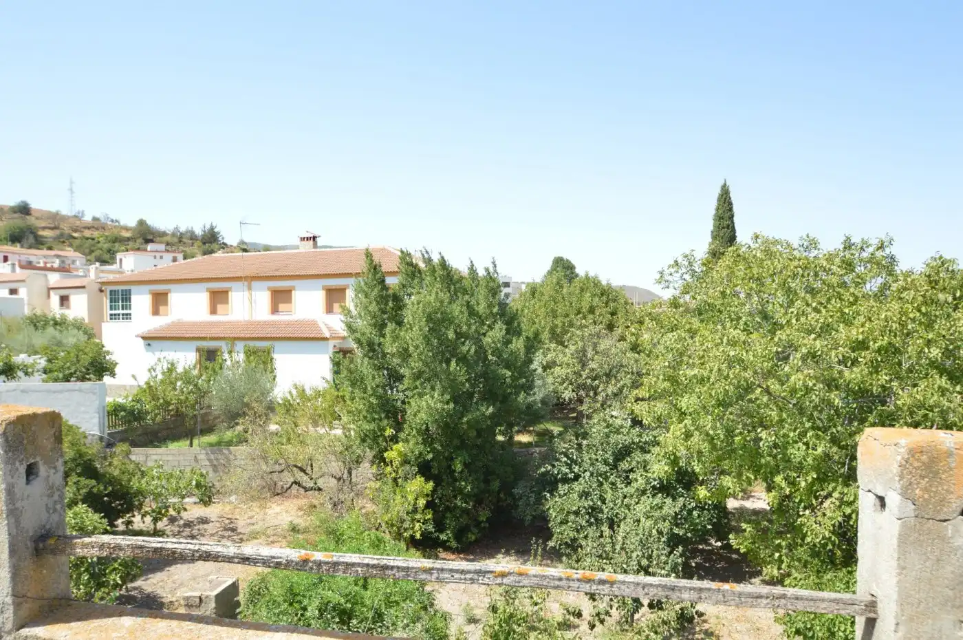 Jardí de Finca rústica en venda en Fondón