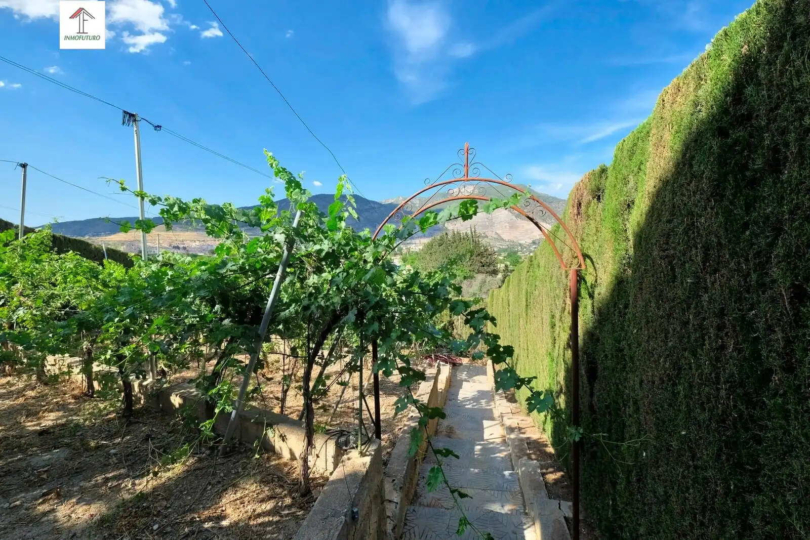 Maison rustique avec piscine à vendre à CAMINO VIEJO DE MOTRIL, imagen 20