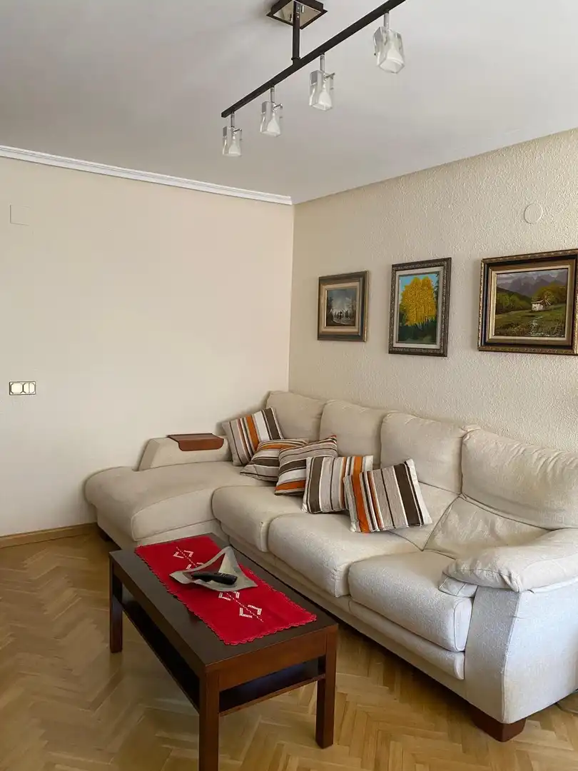 Sala d'estar de Pis de lloguer en Jaca amb Parquet, Terrassa i Moblat