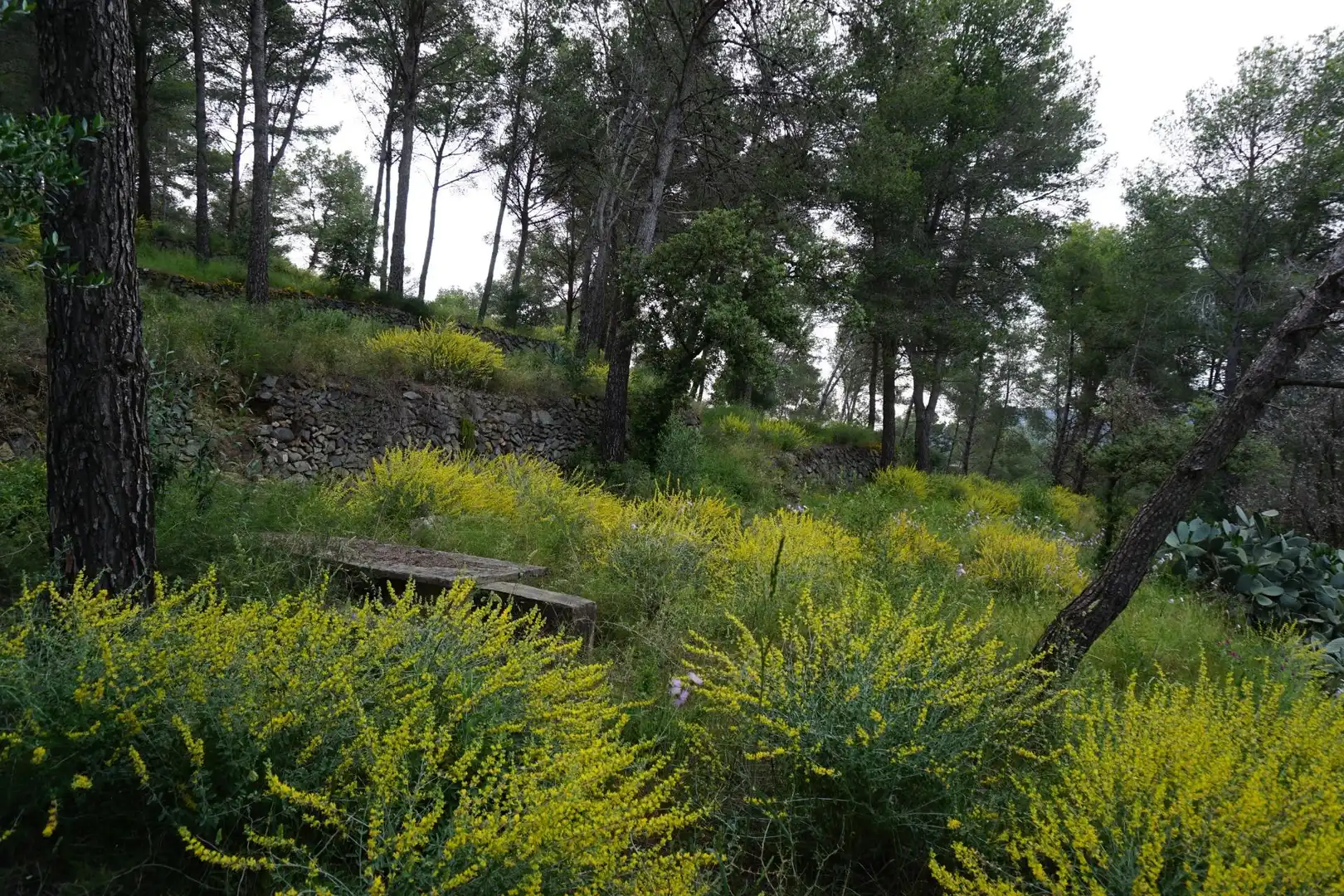 Terreno residenziale in vendita a Calle Ferreteries, imagen 13