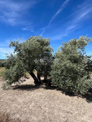 Terreno en Venta en Lupión