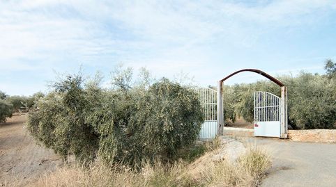 Foto 4 de Finca rústica en venta en Loja, Granada