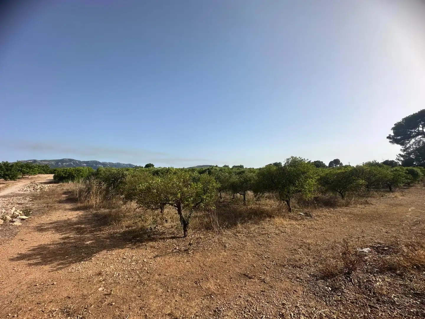 Rural land for sale in Masdenverge, imagen 13