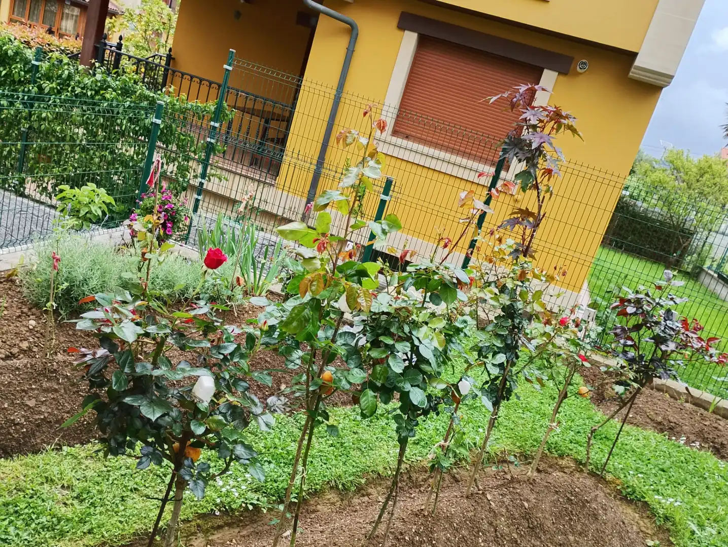 Jardín de Casa o chalet en venta en Castro-Urdiales con Calefacción, Jardín privado y Terraza