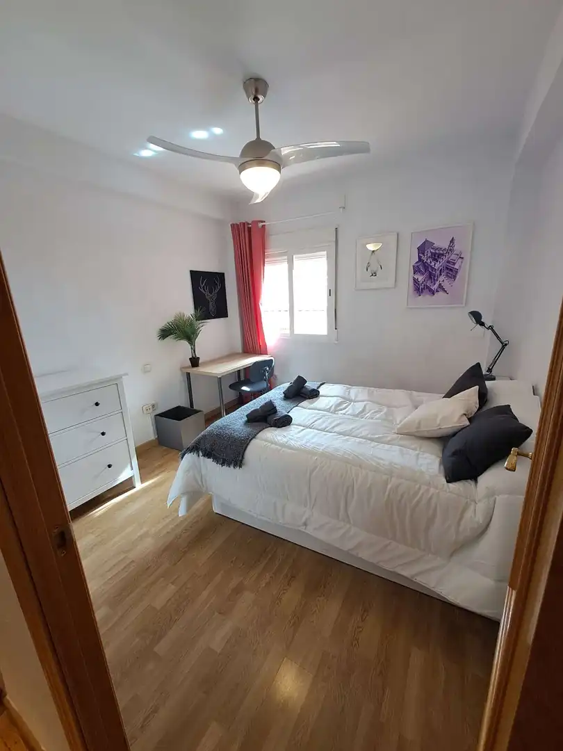Room in Palacio