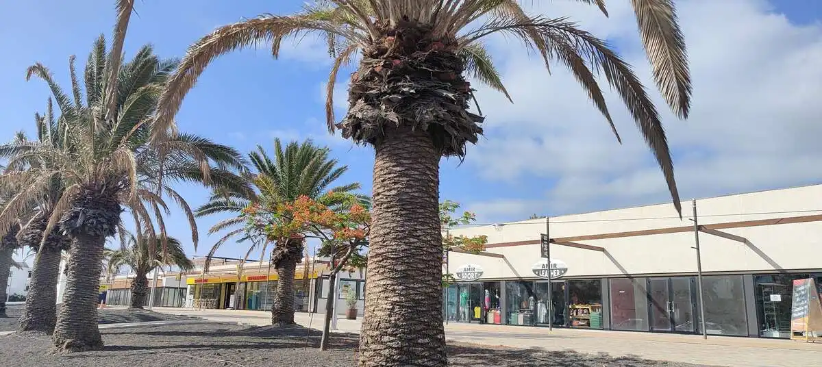 Vista exterior de Local de lloguer en Teguise amb Terrassa