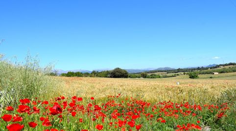 Foto 2 de Finca rústica en venta en Muro, Illes Balears
