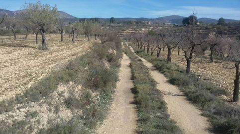 Rústico en venta, immagine 3