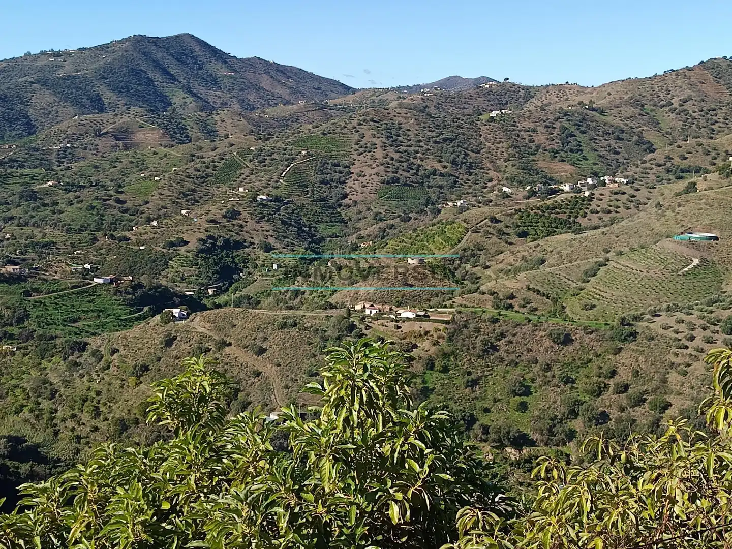 Terreny rústic en venda a Sayalonga, imagen 3