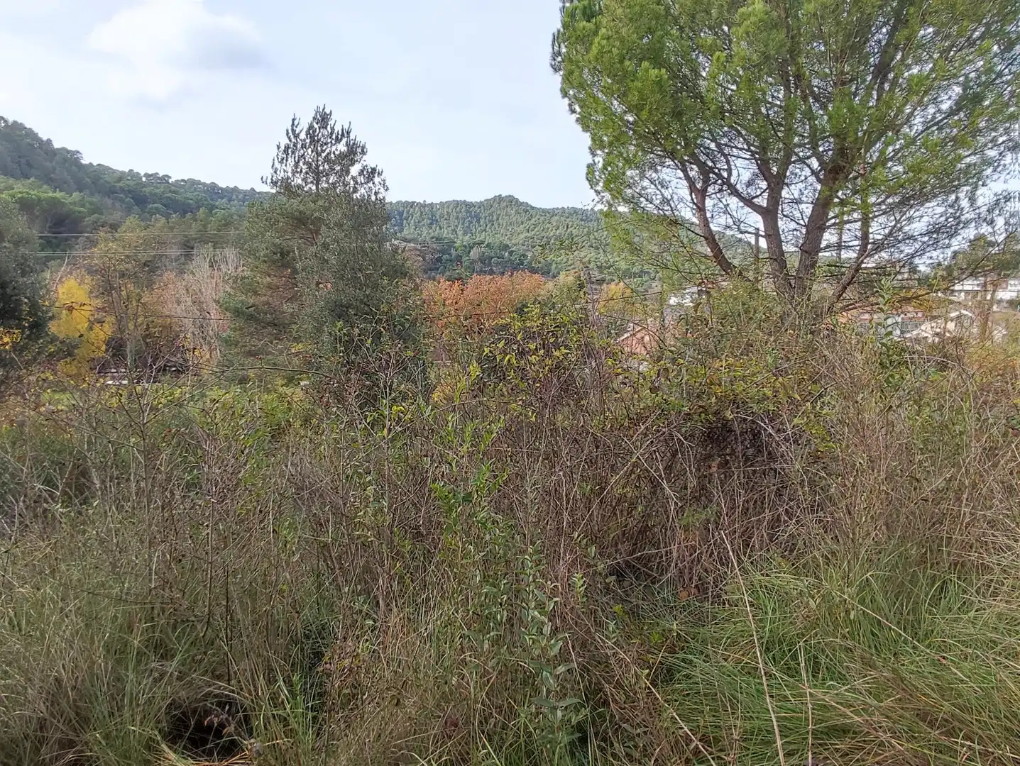 Terrain rustique à vendre à Monistrol de Calders, imagen 26
