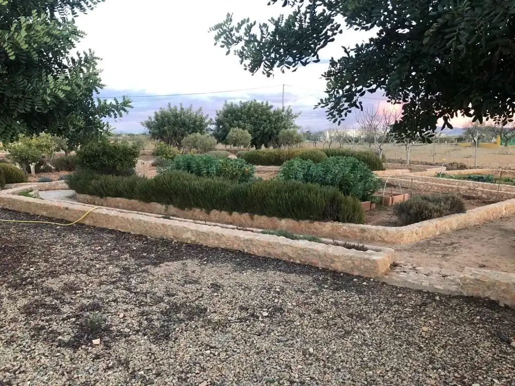 Casa con giardino in affitto a Pedanías Oeste, imagen 20