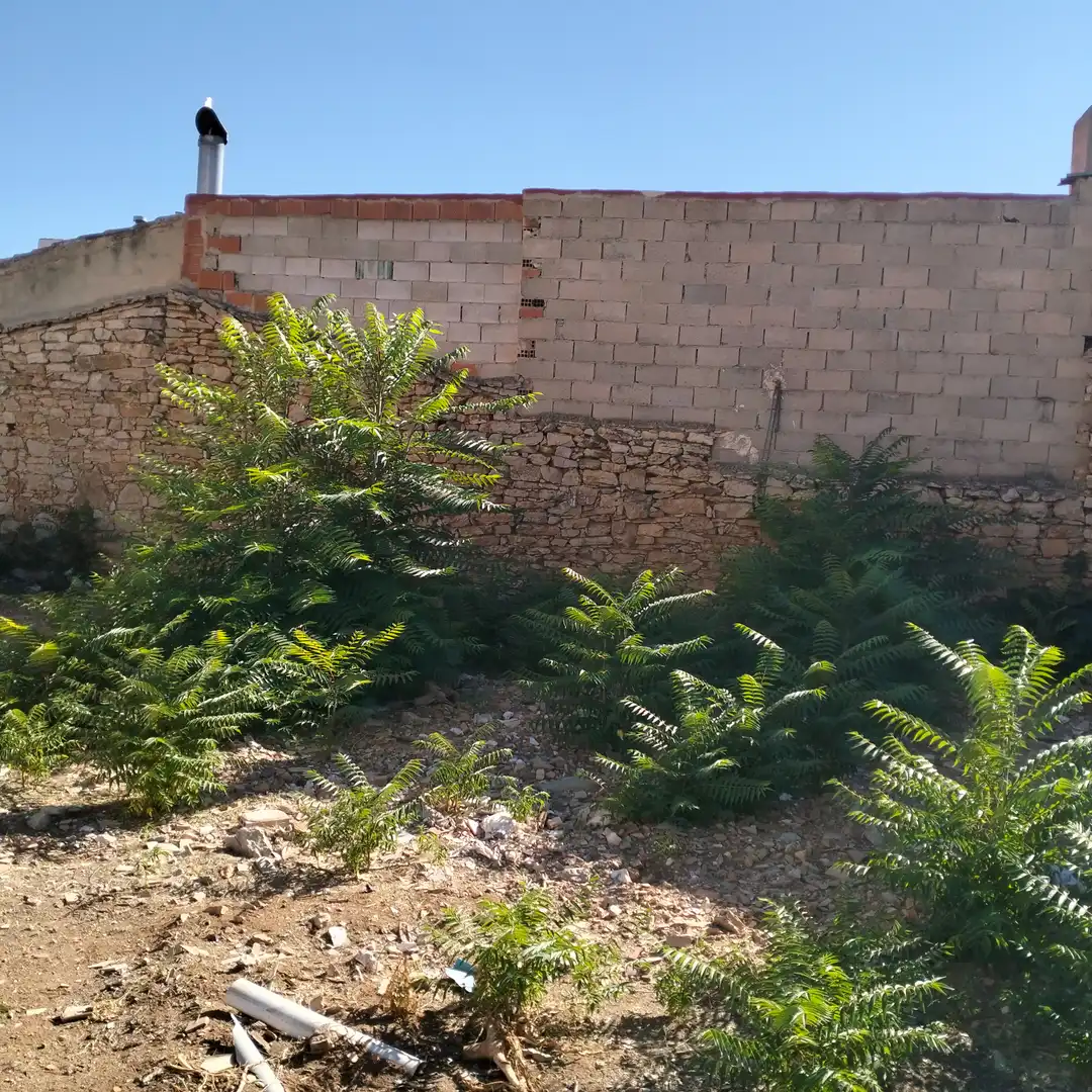 Nave industrial en venta en Munera