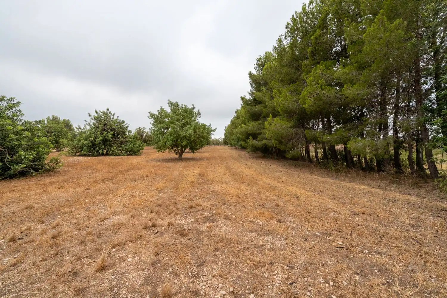 Terrain rustique à vendre à Roquetes, imagen 30